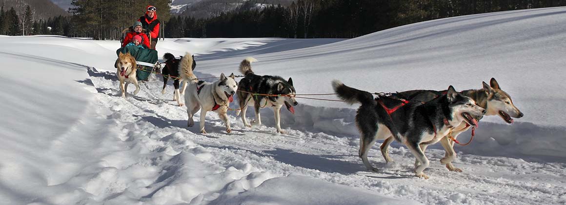 LE CENTRE D’ACTIVITÉS MONT-TREMBLANT – TRAÎNEAU À CHIENS