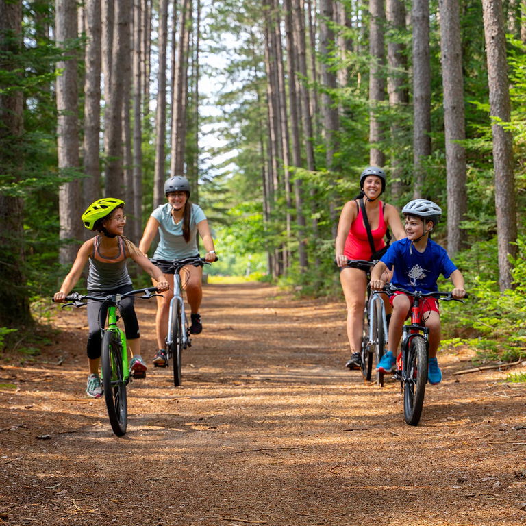 DOMAINE SAINT-BERNARD