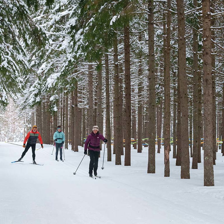 SKI DE FOND ET RAQUETTE AU DOMAINE SAINT-BERNARD