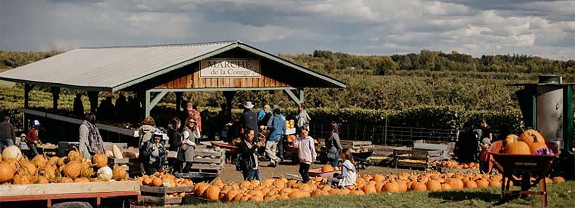 CENTRE D’INTERPRÉTATION DE LA COURGE DU QUÉBEC