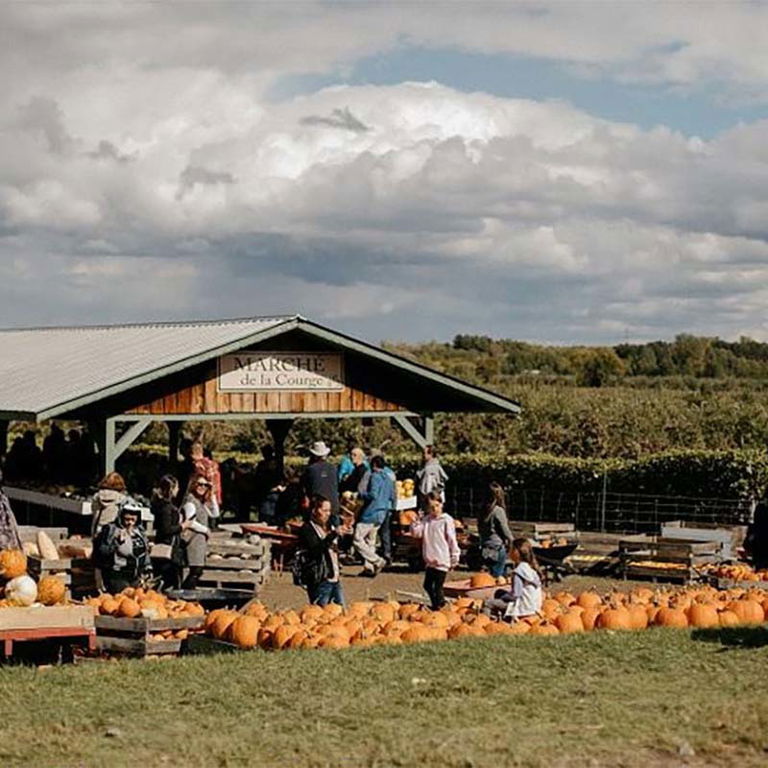 CENTRE D’INTERPRÉTATION DE LA COURGE DU QUÉBEC