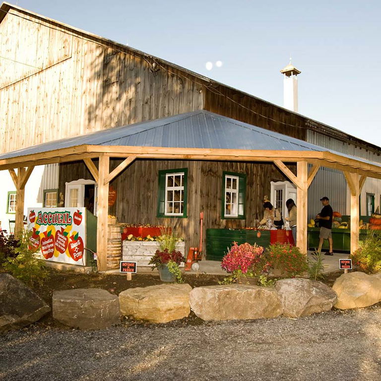 LA MAGIE DE LA POMME