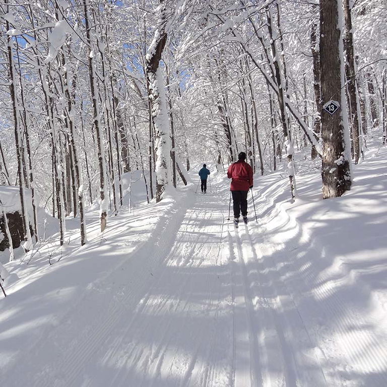 PARC RÉGIONAL VAL-DAVID-VAL-MORIN – SKI DE FOND ET RAQUETTE