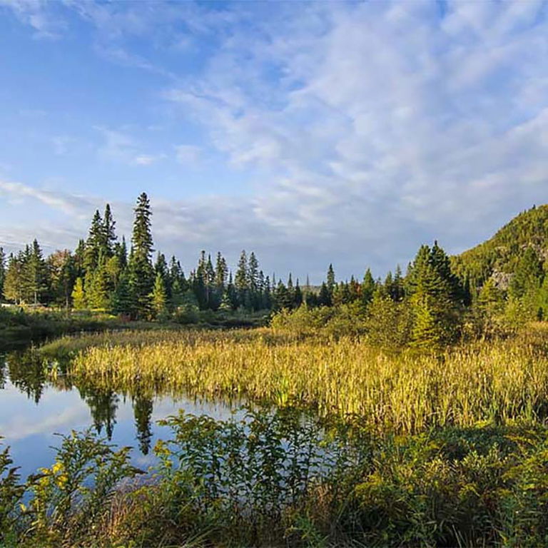 PARC RÉGIONAL VAL-DAVID-VAL-MORIN -RANDONNÉE PÉDESTRE