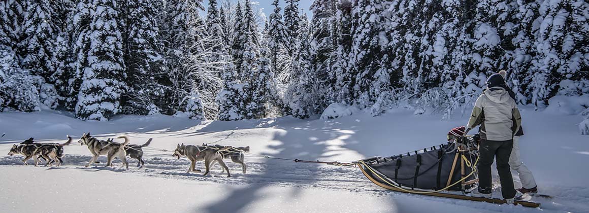 CENTRE D’ACTIVITÉS NATURE KANATHA-AKI – TRAÎNEAU  À CHIENS