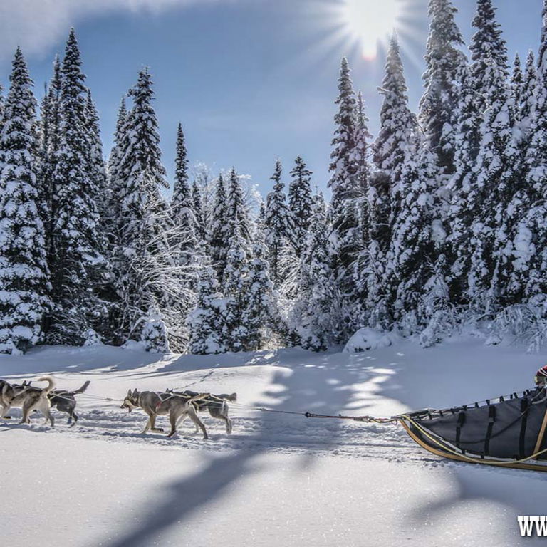 CENTRE D’ACTIVITÉS NATURE KANATHA-AKI – TRAÎNEAU  À CHIENS