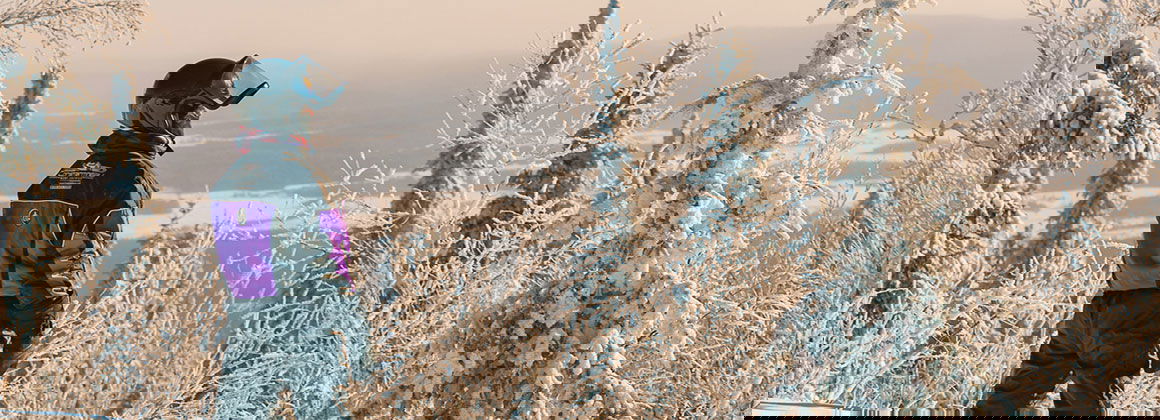 SENTIERS COUREURS DES BOIS