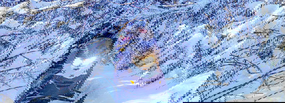 LAUREL AVENTURE NATURE