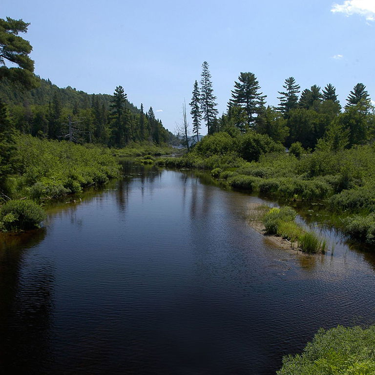 RÉSERVE FAUNIQUE DE PAPINEAU-LABELLE – RANDONNÉE PÉDESTRE