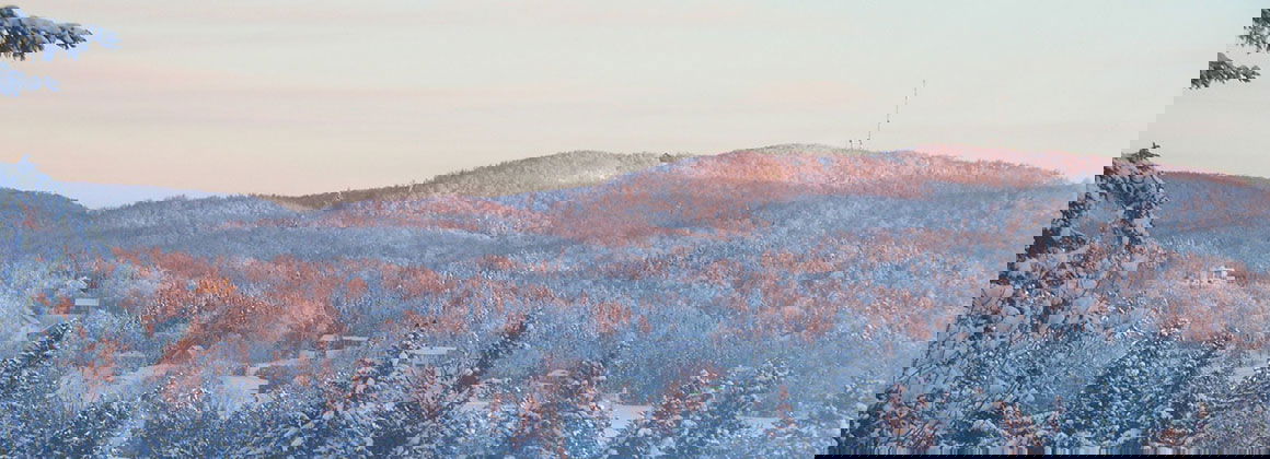 AVALANCHE CULTURE PLEIN AIR SAINT-ADOLPHE-D’HOWARD