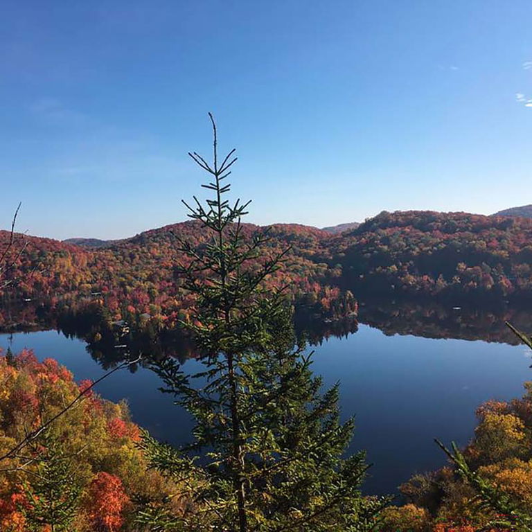 Réseaux des sentiers de Saint-Adolphe-d’Howard –  Randonnée pédestre
