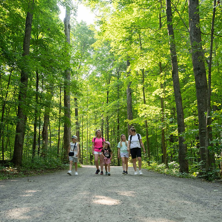 PARC RÉGIONAL ÉDUCATIF BOIS DE BELLE-RIVIÈRE - 2