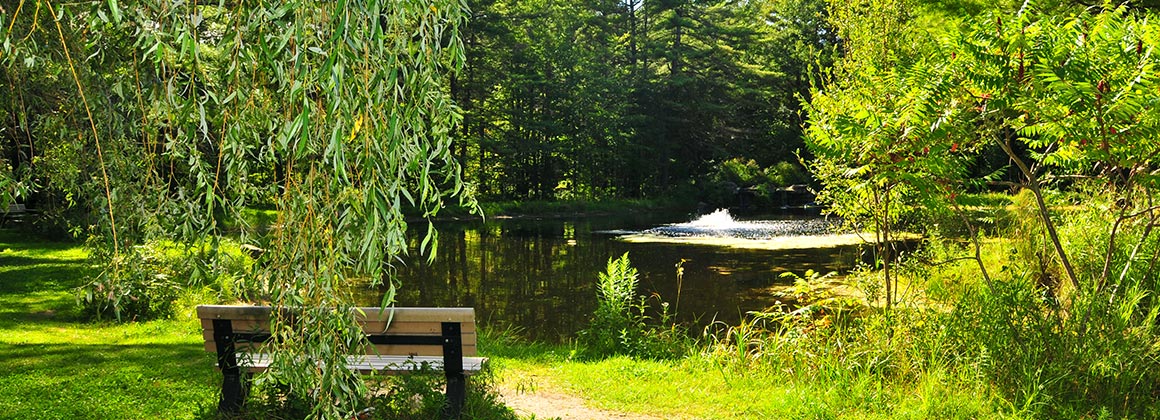 PARC DU DOMAINE VERT