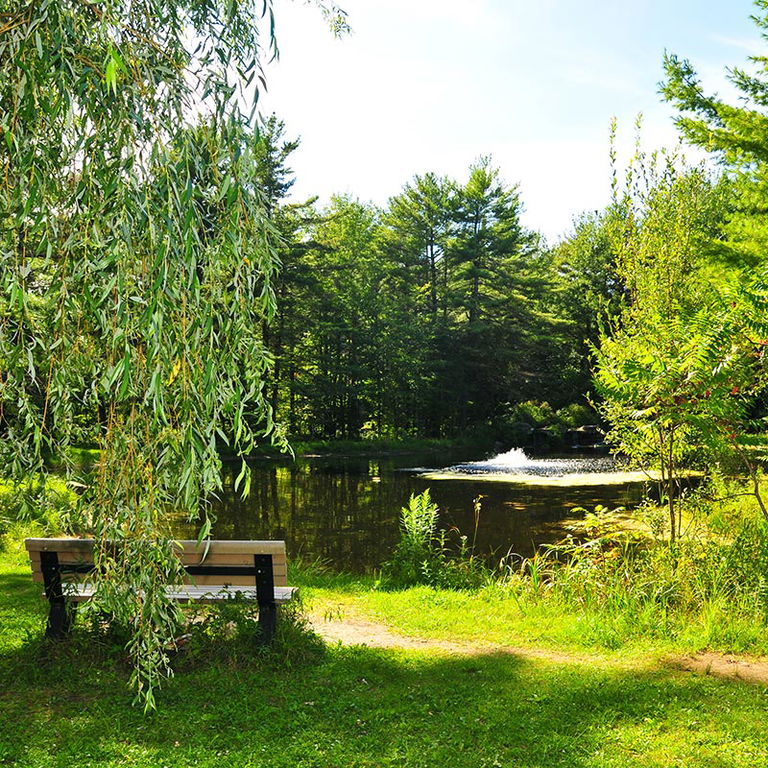 PARC DU DOMAINE VERT