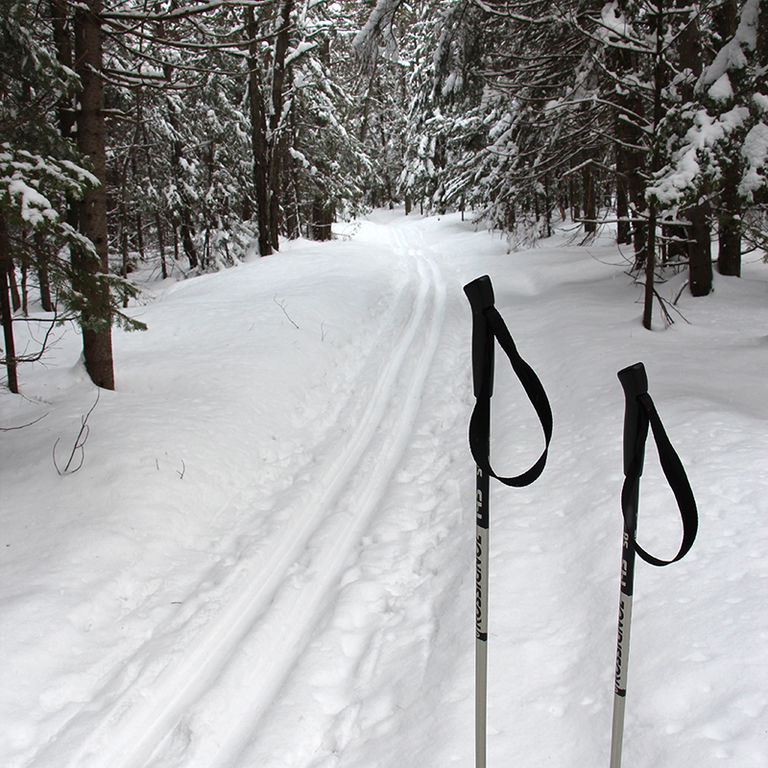 PARC DU DOMAINE VERT – SKI DE FOND ET RAQUETTE