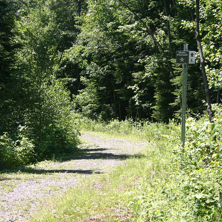 Parc du Domaine Vert – Randonnée pédestre