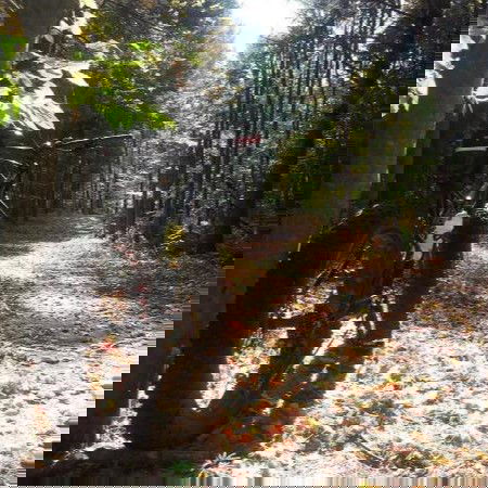 PARC DU DOMAINE VERT – VÉLO