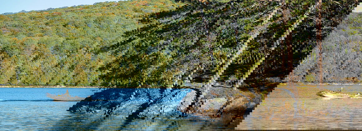 POURVOIRIE MICHEL ST-LOUIS