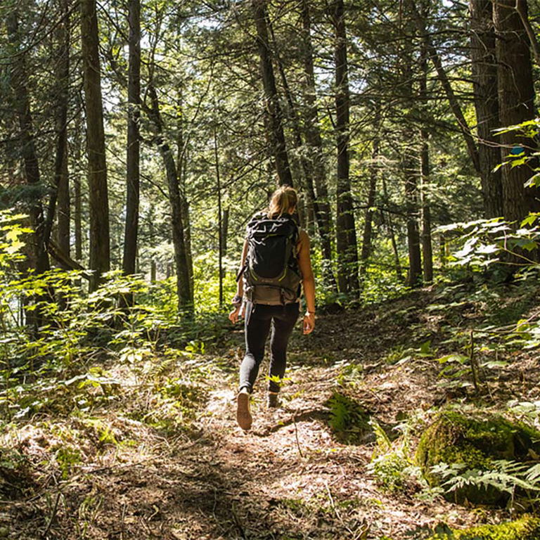 PARC RÉGIONAL KIAMIKA – RANDONNÉE PÉDESTRE