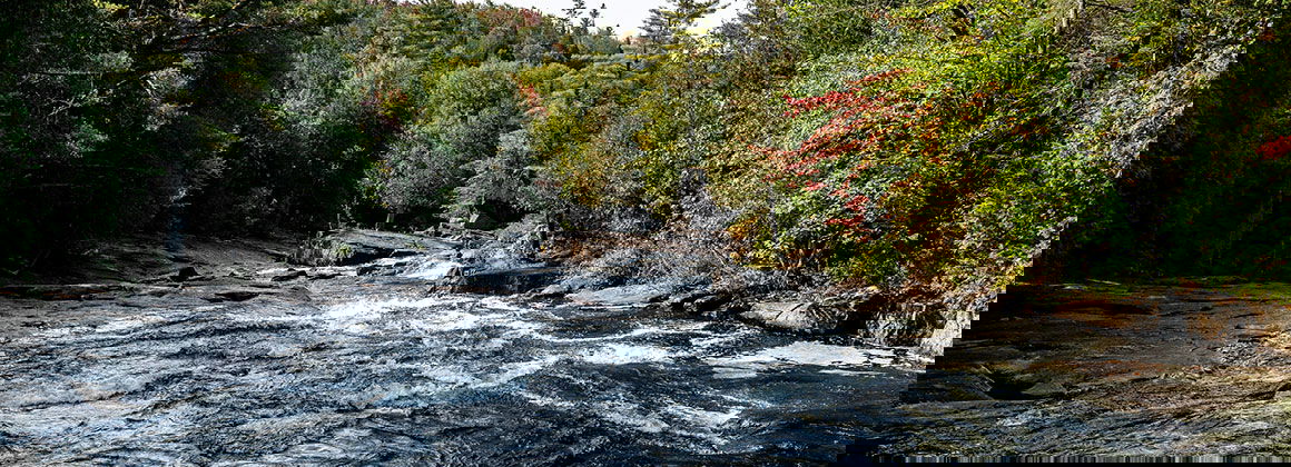 PARC DE LA RIVIÈRE DONCASTER