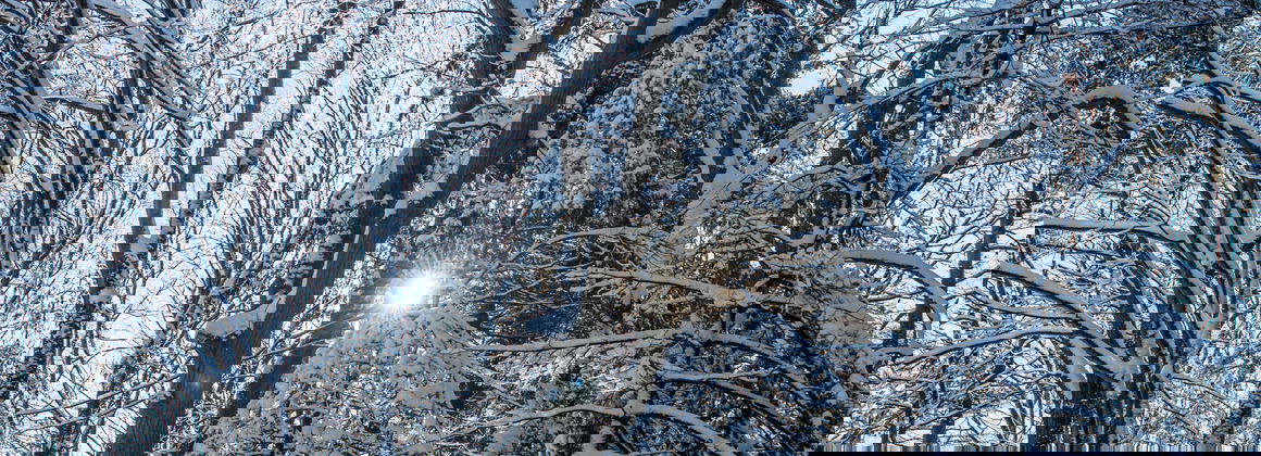 PARC DE LA RIVIÈRE DONCASTER