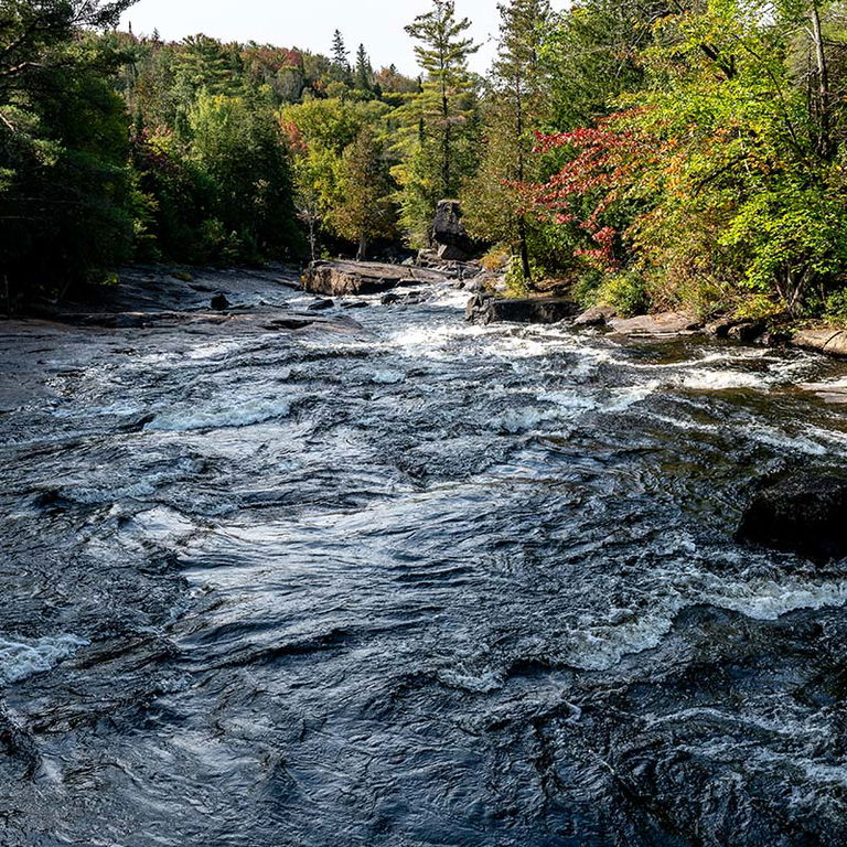 PARC DE LA RIVIÈRE DONCASTER