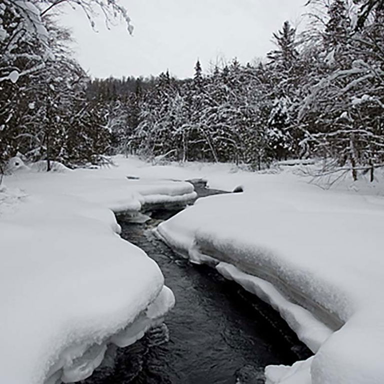 PARC DE LA RIVIÈRE DONCASTER – RAQUETTE