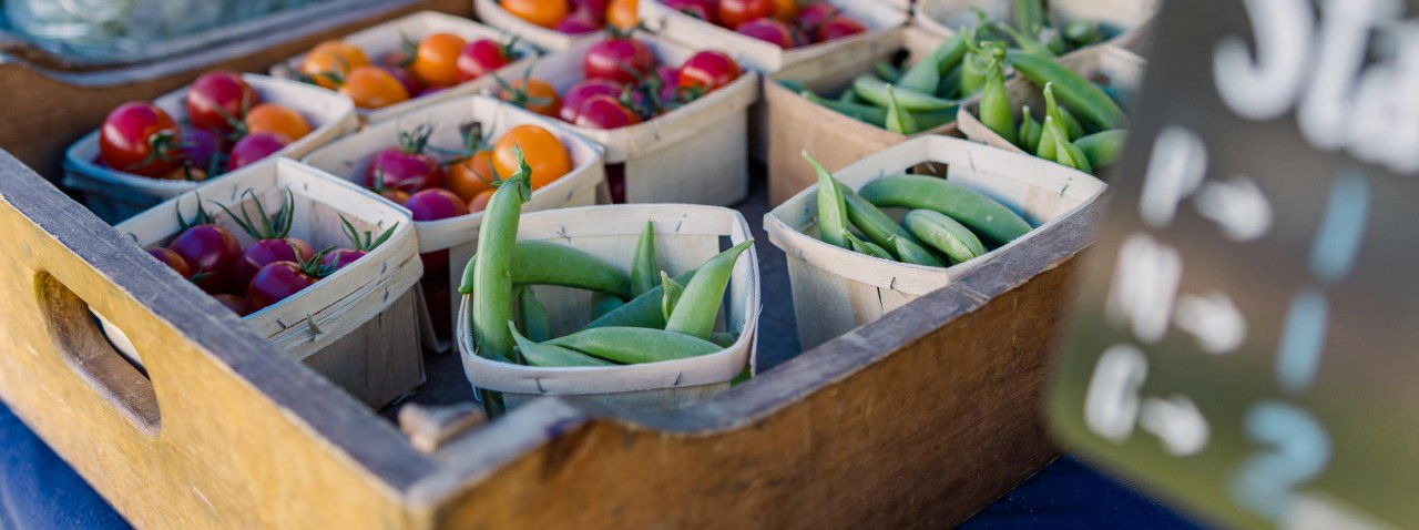 FERME AUX PETITS OIGNONS