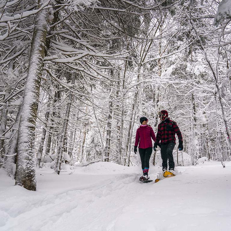 PARC DU MONT LOUP-GAROU –  SKI DE FOND ET RAQUETTE