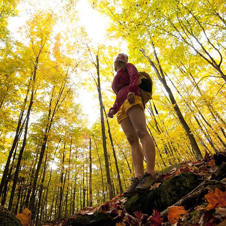 PARC DU MONT LOUP-GAROU – RANDONNÉE PÉDESTRE