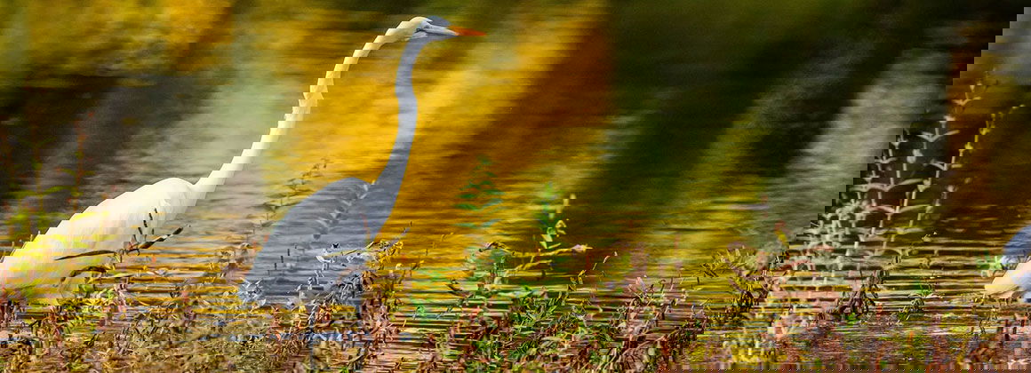 PARC DE LA RIVIÈRE-DES-MILLE-ÎLES