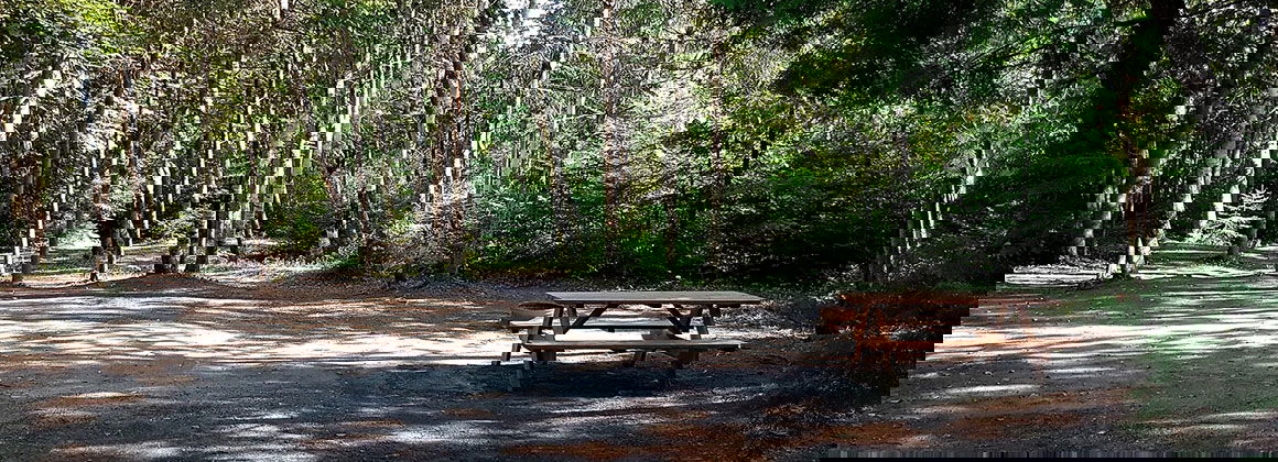 CAMPING DOMAINE DES CÈDRES