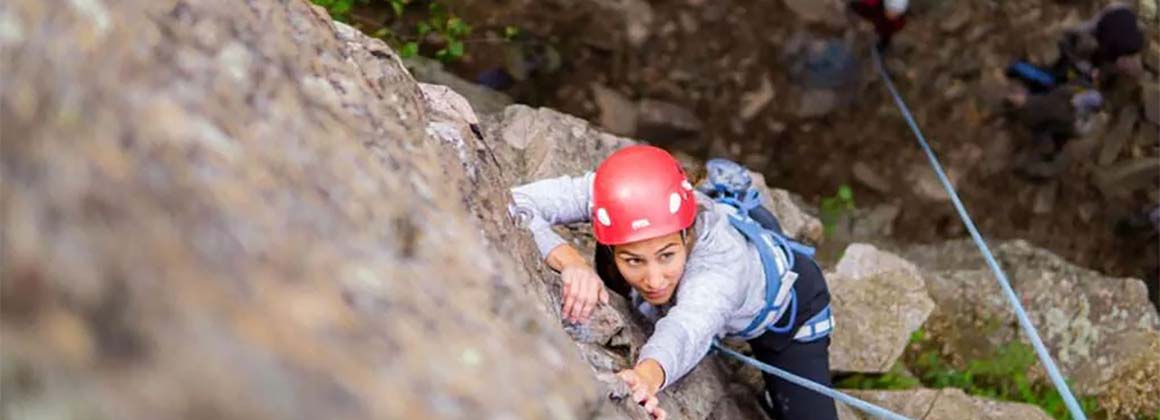 LA LIBERTÉ NORD-SUD