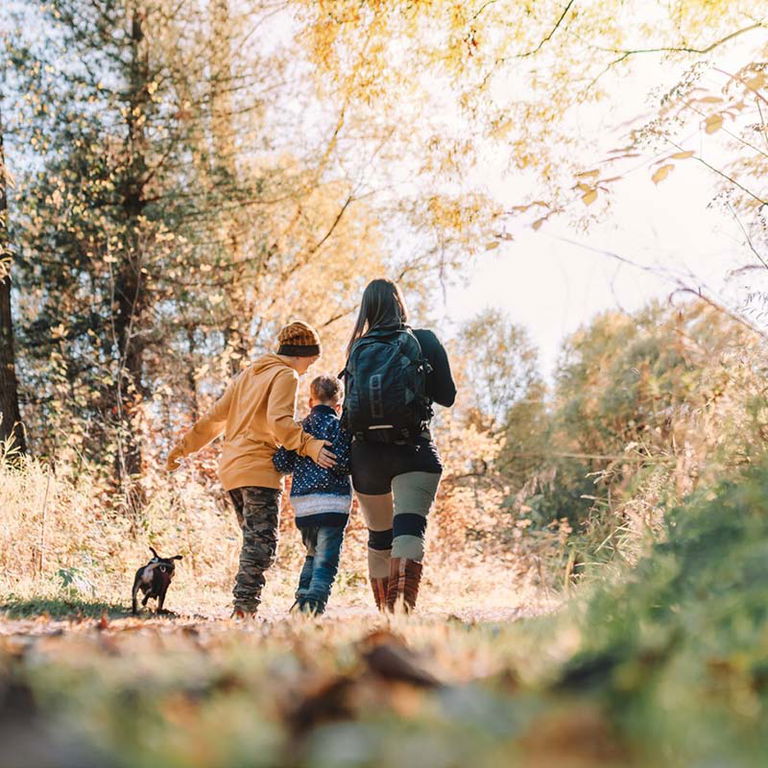 CENTRE DE PLEIN AIR MONT-LAURIER