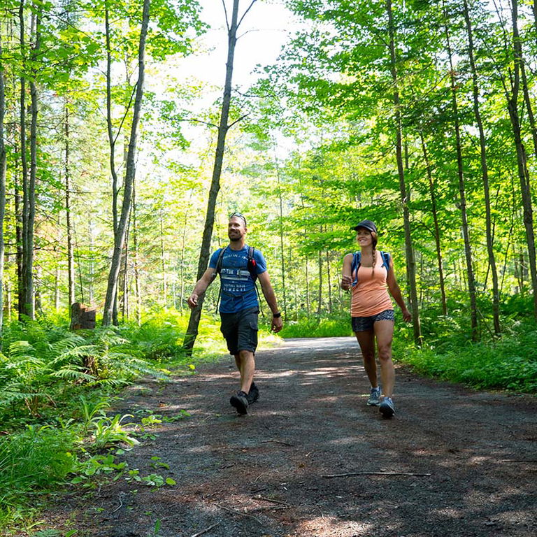 PARC JOHN-H.-MOLSON – RANDONNÉE PÉDESTRE