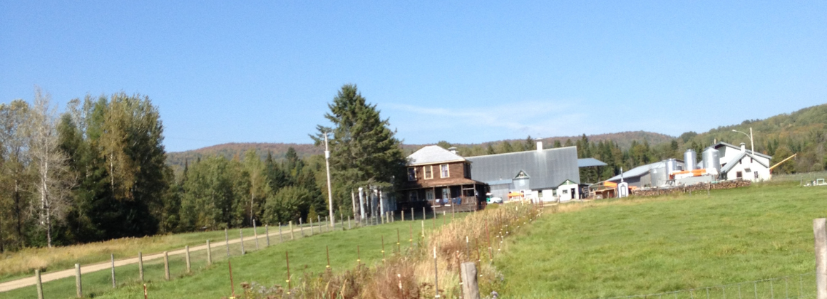 PAYSAGES AGRICOLES DE ROCKWAY VALLEY ET D’AMHERST