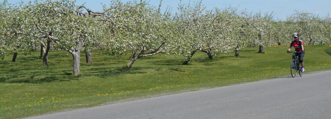 VÉLO-POPOTE – VÉLO
