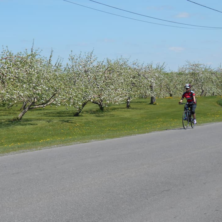 VÉLO-POPOTE – VÉLO