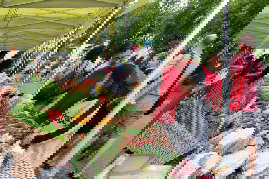 MARCHÉS PUBLICS DANS LES LAURENTIDES