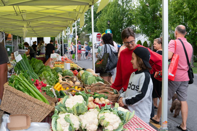 MARCHÉS PUBLICS DANS LES LAURENTIDES