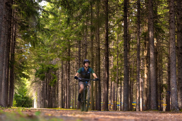 BALADES À VÉLO AU DOMAINE SAINT-BERNARD