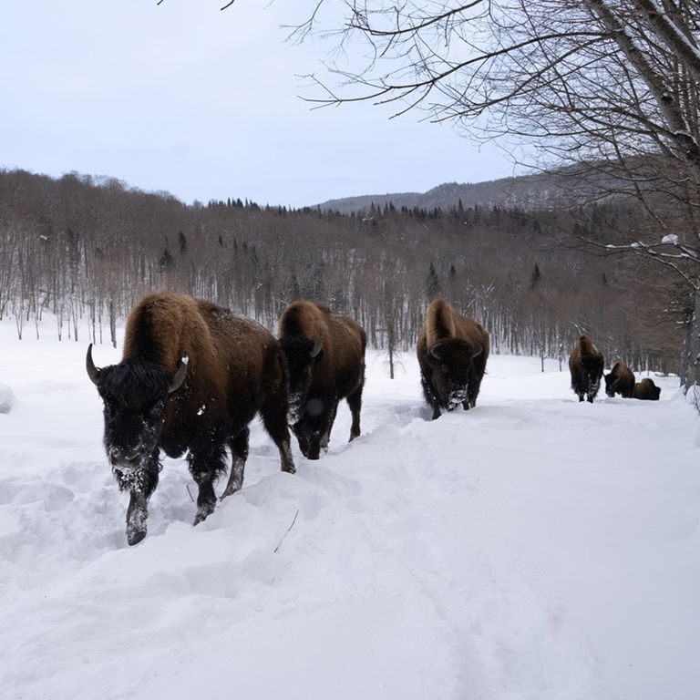 CENTRE D&rsquo;ACTIVITÉS NATURE KANATHA-AKI