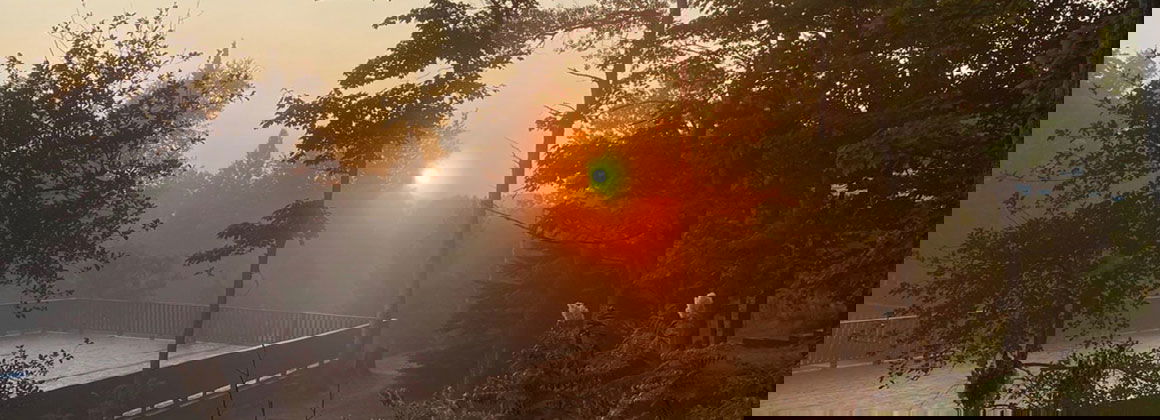 SIVANANDA ASHRAM CAMP DE YOGA