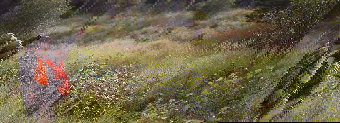 RÉSERVE FAUNIQUE ROUGE-MATAWIN