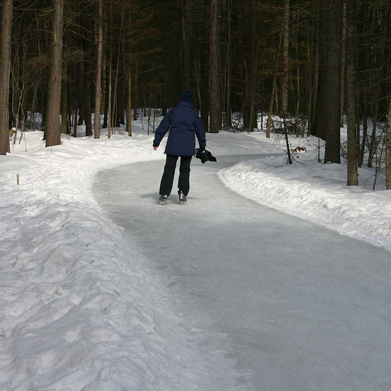 PARC DU DOMAINE VERT – SENTIER DE PATIN