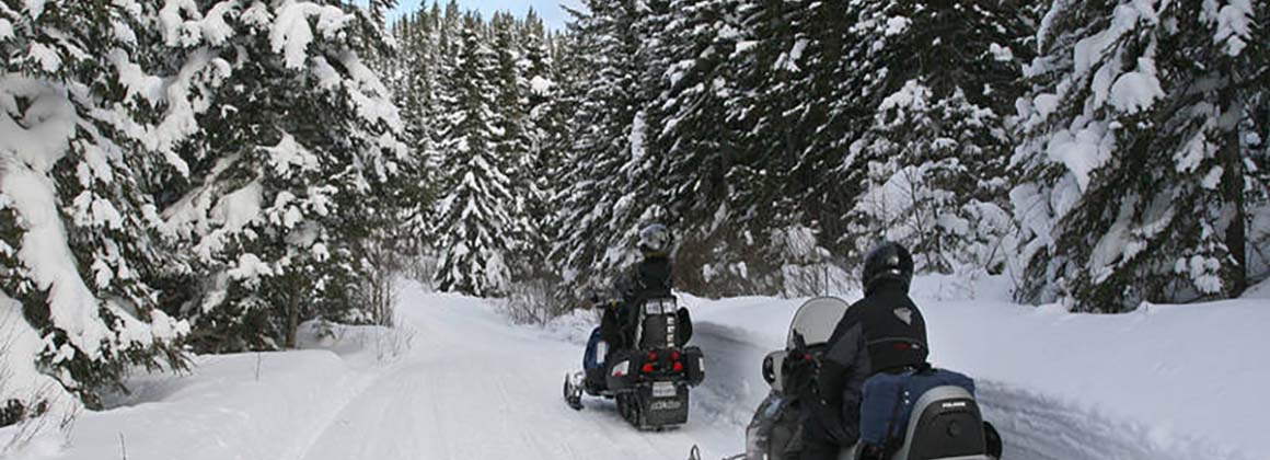 POURVOIRIE MICHEL ST-LOUIS