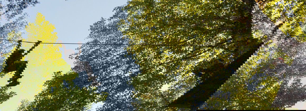 CENTRE D&rsquo;ACTIVITÉS NATURE KANATHA-AKI – TYROLIENNES