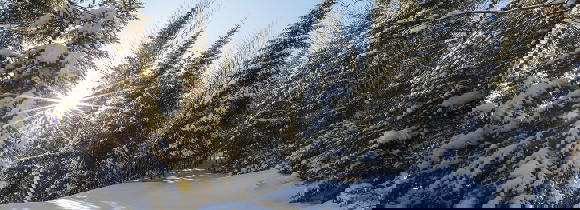 PARC DE LA RIVIÈRE-DES-MILLE-ÎLES