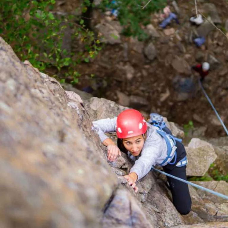LA LIBERTÉ NORD-SUD