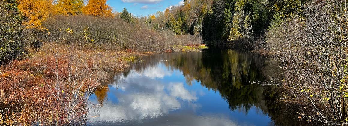 RÉSEAUX DE SENTIERS DE WENTWORTH-NORD